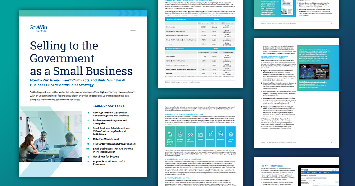 small business plan government contracts